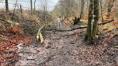 Bogey Line - the track that runs parallel to the South drive