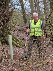 Tree planting