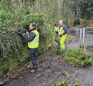 Trimming hedges and vegetation