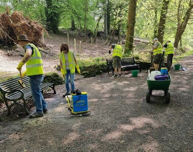 Cleaning park benches
