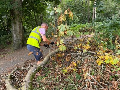 Clearing the path of fallen trees