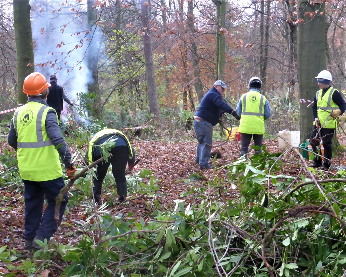 Removing Invasive Species