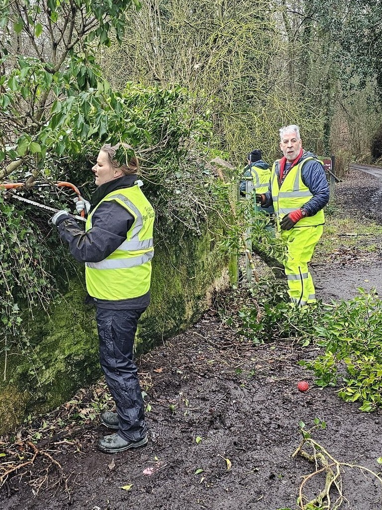 Trimming hedges and vegetation
