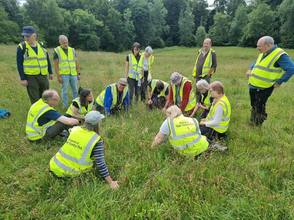 The Annual Orchid Count