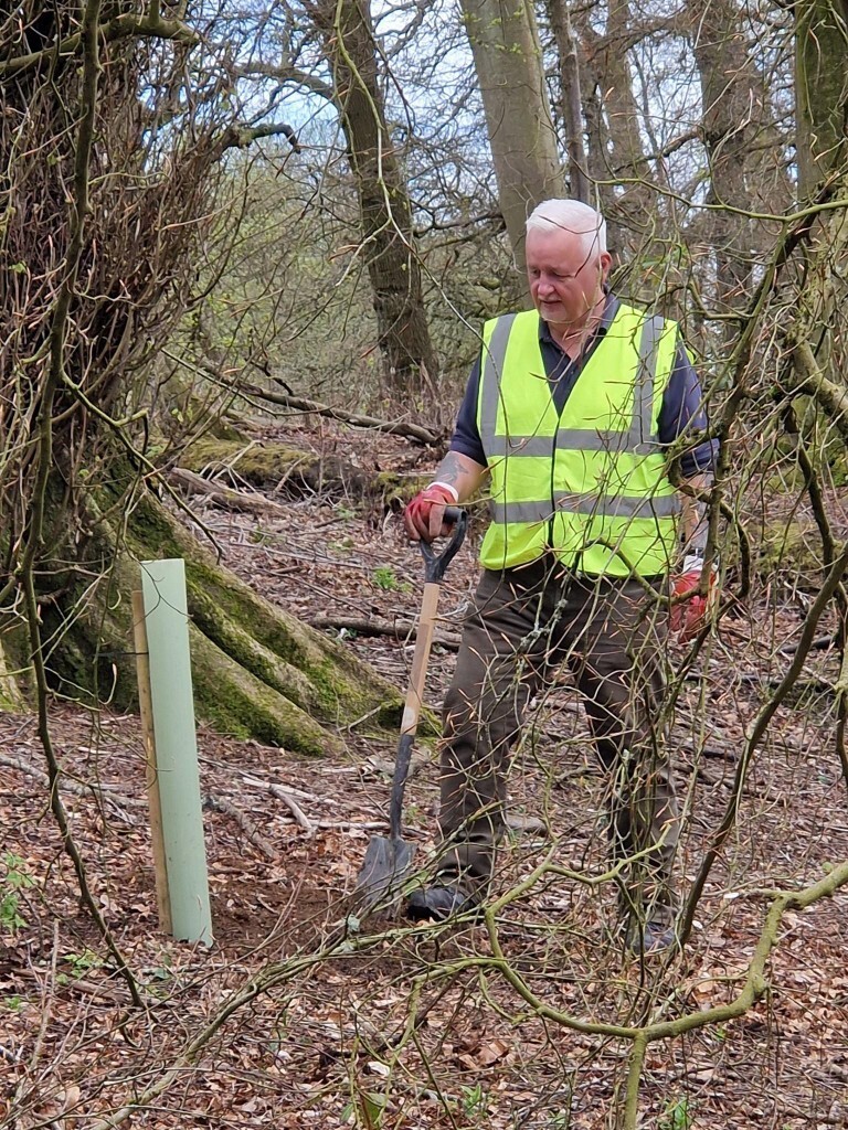 Tree Planting